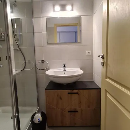 Apartment Grand Studio-loft-grand Parking-climatise-proche Centre