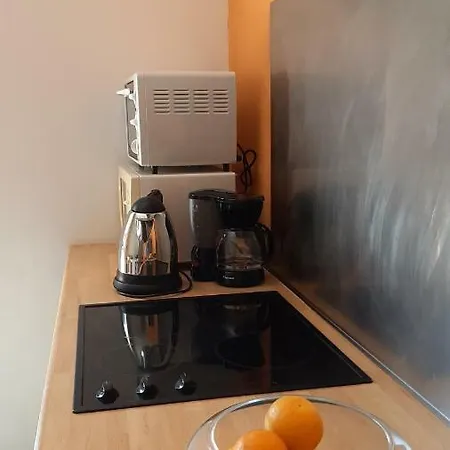 Grand Studio-loft-grand Parking-climatise-proche Centre Lejlighed *